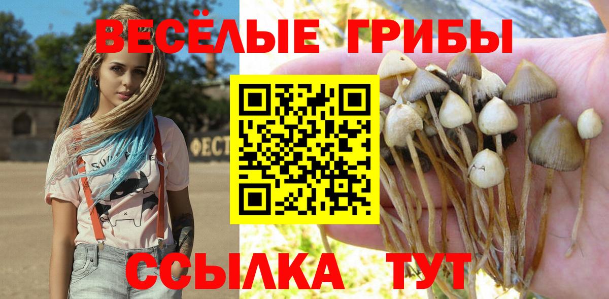 Отрадный  Галлюциногенные грибы Cubensis  Галлюциногенные грибы GOLDEN TEACHER  Вход с VPN 