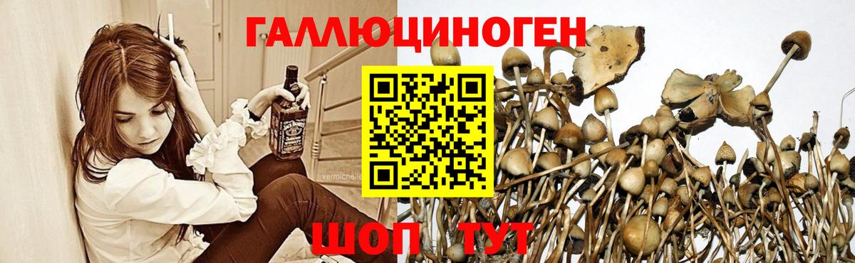 Псилоцибиновые грибы мухоморы Отрадный