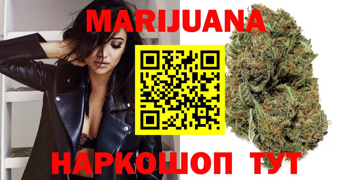 Каннабис планчик Отрадный